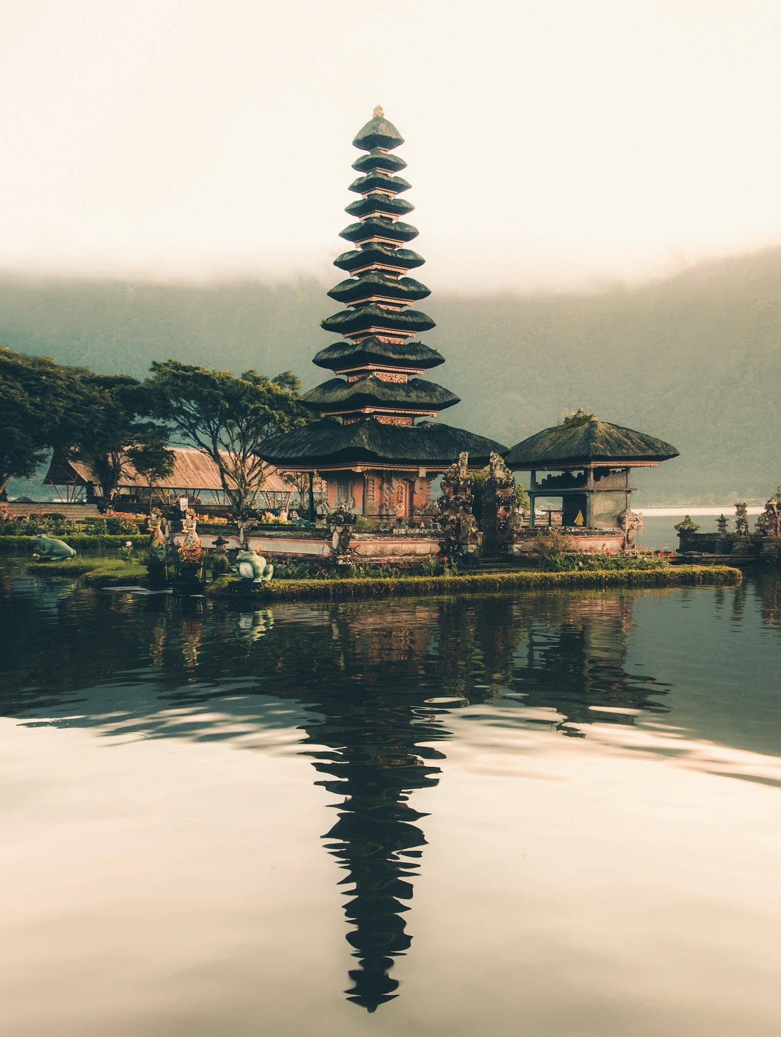 Rice terraces and palm trees in Bali