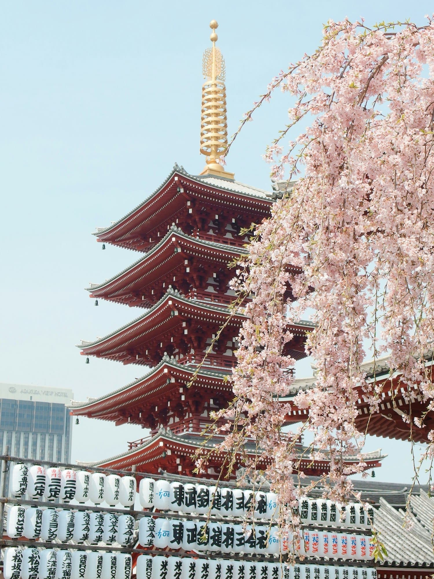 Cherry blossom framing a Japanese pagoda