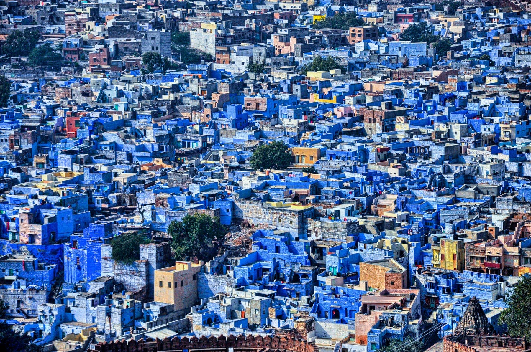 Blue-painted houses in the old city of Jodhpur seen from above