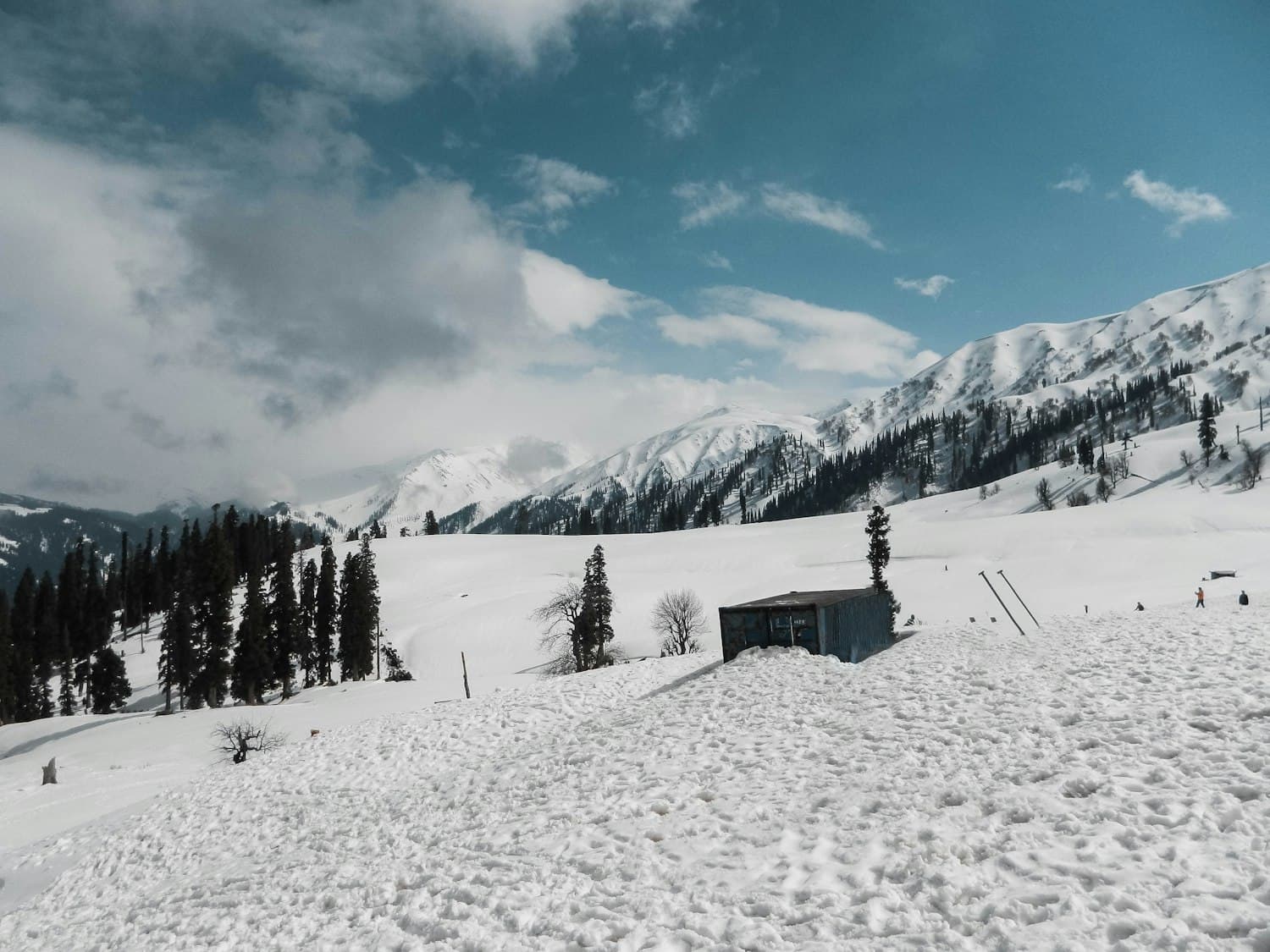 Snow-covered pine valley near Gulmarg